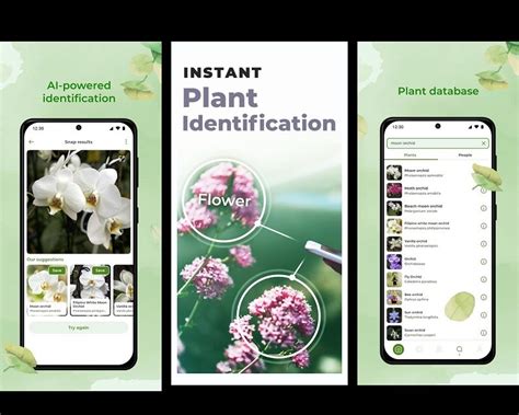 apkwipe pyarijobs|The 2 Best Plant Identification Apps .